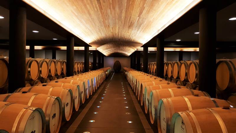 Clos Apalta: uma das 25 melhores vinícolas do mundo