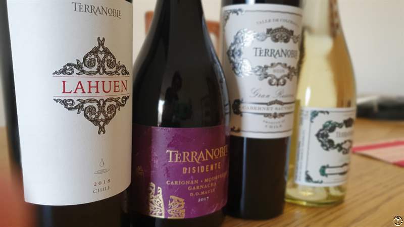 Degustação virtual: Wine Zoom da Vinícola Terranoble